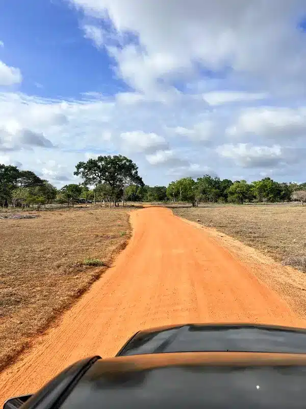 Safari au parc de Wilpattu
